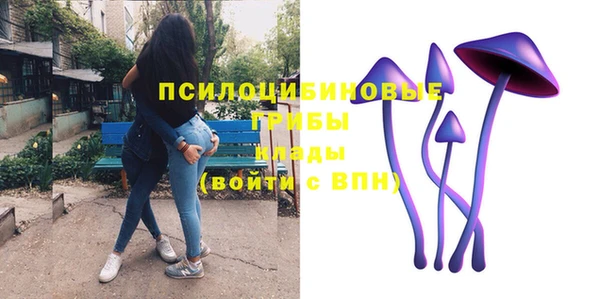 твердый Алексин