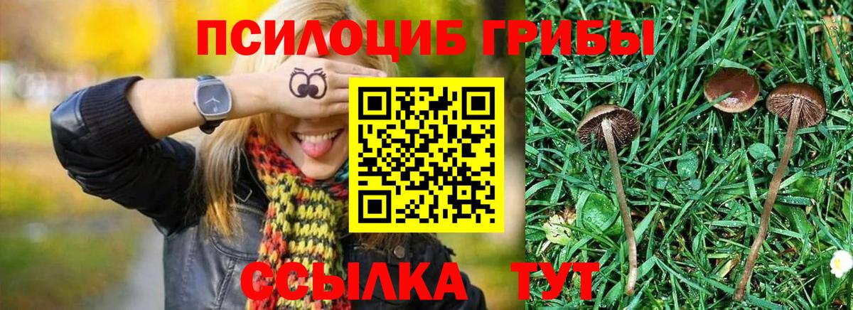 Галлюциногенные грибы прущие грибы Кириши